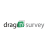 Drag’n Survey logo