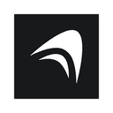 Anything logo